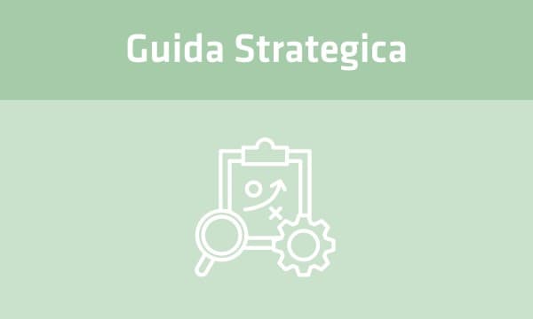 Guida Strategica - copertina